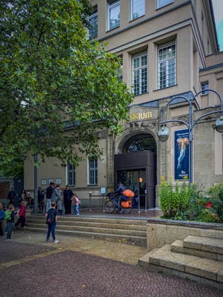 Berlin Charlottenburg-Wilmersdorf; Aquarium, dem Berliner Zoo angeschlossen, wurde nach 3 Jahren Umbau wieder komplett eröffnet - 19.08.2026 Berlin *** The Berlin Charlottenburg Wilmersdorf Aquarium, affiliated with the Berlin Zoo, reopened in full on August 19, 2026, after three years of renovations. Berlin