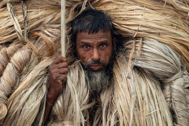 News Bilder des Tages Jute: Bangladesh™s Traditional Fiber In A Changing World A worker carries a large bundle of jute fiber in Manikganj, Bangladesh, on August 19, 2026. Jute, a natural and biodegradable fiber, is widely grown and processed in Bangladesh and is used to make sacks, ropes, textiles and other products. As countries around the world seek alternatives to plastic and other synthetic materials, natural fibers such as jute are gaining renewed attention for their potential environmental benefits. Jute production also remains an important source of income for farmers and workers in Bangladesh. Manikganj Bangladesh  Copyright: xBipulxAhmedx originalFilename: mondol-notitle260819_npAZj.jpg