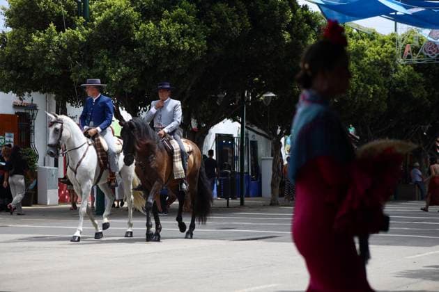 Scenes from the Málaga Fair: Horse-drawn carriages and horses parade through the Málaga Fair. August 19, 2026, in Málaga, Andalusia, Spain As they do every year, locals and visitors enjoy the Málaga Fair at the fairgrounds. August 19, 2026, in Málaga, Andalusia, Málaga, Andalusia, Spain  Copyright: xÃlexxZeax 7721038