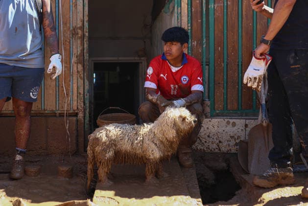 Chile declares a state of catastrophe in Tocopilla after severe mudslides TOCOPILLA, CHILE - AUGUST 19: People remove mud from mudslides that affected the town of Tocopilla, in northern Chile, on Wednesday, August 19. Chilean President Jose Antonio Kast declared a state of constitutional emergency due to the disaster in the province of Tocopilla, Antofagasta region, on Tuesday, after a frontal system caused mudslides, landslides, and overflowing streams in the area. Lucas Aguayo Araos Anadolu Tocopilla Chile. Editorial use only. Please get in touch for any other usage.  Copyright: x2026xAnadoluxLucasxAguayoxAraosx