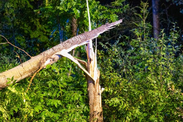 260820UnwetterPlauen News ID: EN 2026-08-20 Unwetter über Mitteldeutschland sorgt für Feuerwehreinsätze Plauen. Kräftige Gewitter sind in der vergangenen Nacht gegen 23 Uhr über weite Teile Mitteldeutschlands gezogen und haben dabei für Feuerwehreinsätze gesorgt. Im Vogtland stürzten durch die schweren Sturmböen, Bäume um. So auch auf der Kemmlerstraße in Plauen. Hier rückte die Berufsfeuerwehr Plauen an, um den Sturmschaden zu beseitigen. Hierfür wurde die Straße kurzfristig gesperrt und die Einsatzstelle ausgeleuchtet. Mit einer Kettensäge wurde der Baum zerkleinert und von der Straße geräumt. Neben dem Sturm kam es auch zu Starkregen, welcher zu Aquaplaning auf den Straßen führte. Verletzte durch das Unwetter gab es e