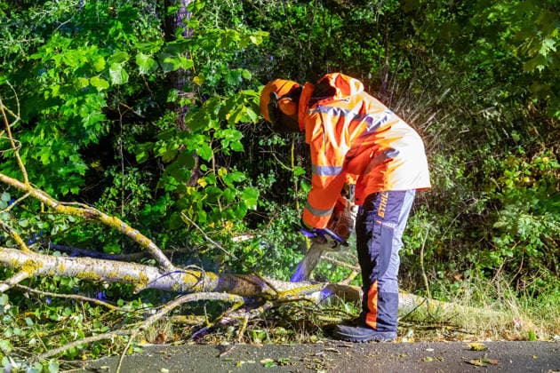 260820UnwetterPlauen News ID: EN 2026-08-20 Unwetter über Mitteldeutschland sorgt für Feuerwehreinsätze Plauen. Kräftige Gewitter sind in der vergangenen Nacht gegen 23 Uhr über weite Teile Mitteldeutschlands gezogen und haben dabei für Feuerwehreinsätze gesorgt. Im Vogtland stürzten durch die schweren Sturmböen, Bäume um. So auch auf der Kemmlerstraße in Plauen. Hier rückte die Berufsfeuerwehr Plauen an, um den Sturmschaden zu beseitigen. Hierfür wurde die Straße kurzfristig gesperrt und die Einsatzstelle ausgeleuchtet. Mit einer Kettensäge wurde der Baum zerkleinert und von der Straße geräumt. Neben dem Sturm kam es auch zu Starkregen, welcher zu Aquaplaning auf den Straßen führte. Verletzte durch das Unwetter gab es e