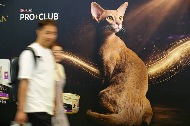 SHANGHAI, CHINA - AUGUST 19: Visitors walk past a pet food booth during the opening of the 28th Asian Pet Exhibition at Shanghai New International Expo Center on August 19, 2026 in Shanghai, China. The exhibition has upgraded its Asia-Pacific New Product Launch initiative to create a major platform for new product releases in the pet industry, featuring over 100 global debuts covering pet food, household items, smart devices, and grooming and medical supplies.  Copyright: xVCGx 111660914168