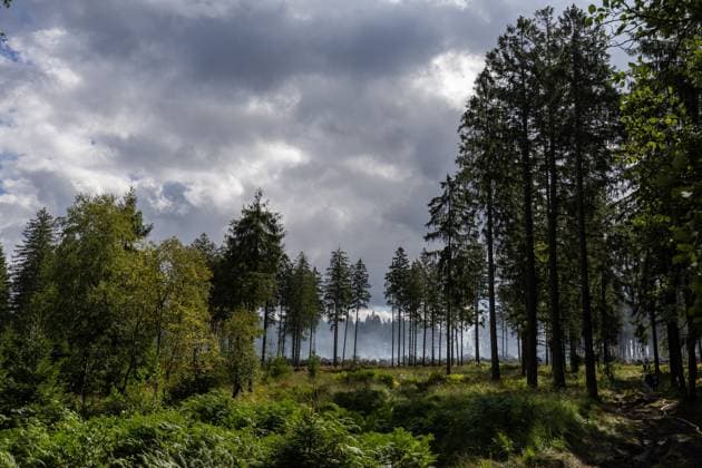 Firefighters continue to work, wetting the soil on the site of the fires in the Hautes Fagnes (High Fens) nature reserve, on Thursday 20 August 2026. The fire started on August 14th and 3000 hectares (on a total of 4500) are impacted.  JULIENxWARNAND 183821991