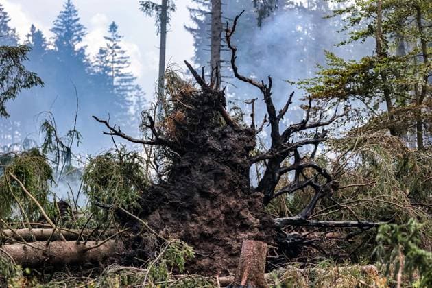 Firefighters continue to work, wetting the soil on the site of the fires in the Hautes Fagnes (High Fens) nature reserve, on Thursday 20 August 2026. The fire started on August 14th and 3000 hectares (on a total of 4500) are impacted.  JULIENxWARNAND 183821997