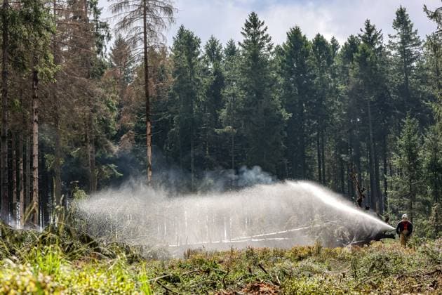 Firefighters continue to work, wetting the soil on the site of the fires in the Hautes Fagnes (High Fens) nature reserve, on Thursday 20 August 2026. The fire started on August 14th and 3000 hectares (on a total of 4500) are impacted.  JULIENxWARNAND 183822006