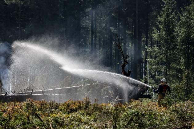 Firefighters continue to work, wetting the soil on the site of the fires in the Hautes Fagnes (High Fens) nature reserve, on Thursday 20 August 2026. The fire started on August 14th and 3000 hectares (on a total of 4500) are impacted.  JULIENxWARNAND 183822009