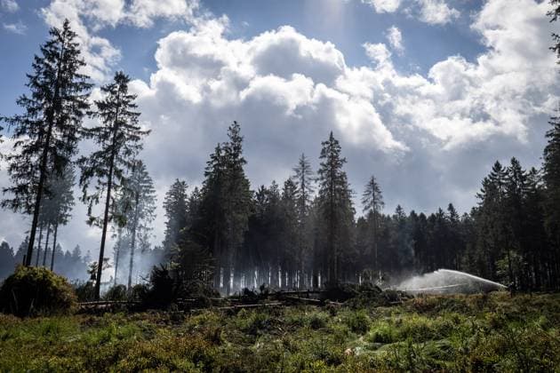 Firefighters continue to work, wetting the soil on the site of the fires in the Hautes Fagnes (High Fens) nature reserve, on Thursday 20 August 2026. The fire started on August 14th and 3000 hectares (on a total of 4500) are impacted.  JULIENxWARNAND 183822014