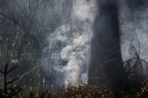 Firefighters continue to work, wetting the soil on the site of the fires in the Hautes Fagnes (High Fens) nature reserve, on Thursday 20 August 2026. The fire started on August 14th and 3000 hectares (on a total of 4500) are impacted.  JULIENxWARNAND 183822650
