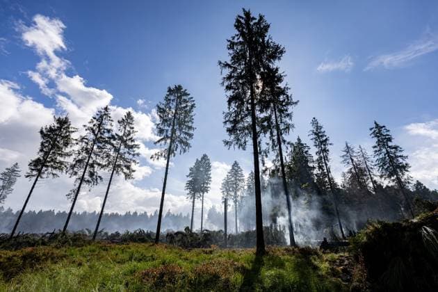 Firefighters continue to work, wetting the soil on the site of the fires in the Hautes Fagnes (High Fens) nature reserve, on Thursday 20 August 2026. The fire started on August 14th and 3000 hectares (on a total of 4500) are impacted.  JULIENxWARNAND 183822652