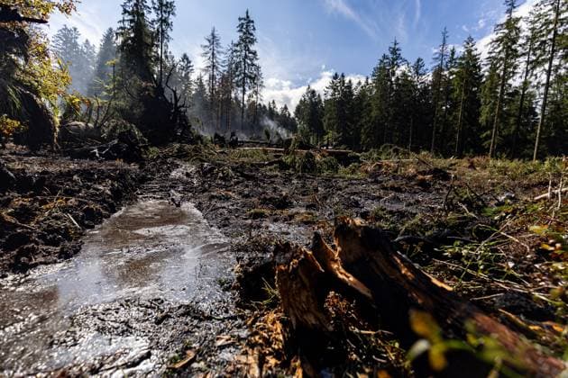 Firefighters continue to work, wetting the soil on the site of the fires in the Hautes Fagnes (High Fens) nature reserve, on Thursday 20 August 2026. The fire started on August 14th and 3000 hectares (on a total of 4500) are impacted.  JULIENxWARNAND 183822657