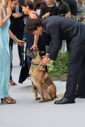 . 20 08 2026. London, United Kingdom. Jacob Elordi and Rak Jasber the dog arriving at The Dog Stars world premiere in London.  xStephenxLockx xi-Imagesx IIM-26957-0010