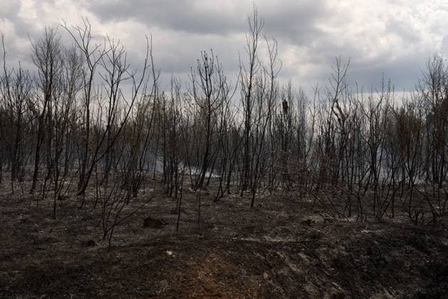 Firefighters battle wildfire near Petrinje PETRINJE, SLOVENIA, AUGUST 20, 2026: Firefighters and aerial water bombers battle a wildfire near ÄarnotiÄe that spread toward the village of Petrinje in the Koper area of southwestern Slovenia. The fire burned several hectares of woodland and scrubland before being brought under control. Around 100 firefighters, along with police and Air Tractor firefighting aircraft, took part in the operation. Cleanup work continued after the fire was contained. Petrinje Slovenia Copyright: x xGiovannixAiellox xJNAxPressx