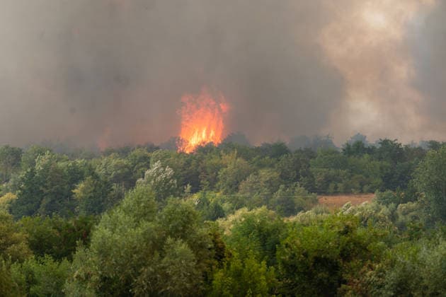 August 20, 2026, Grebenac, Vojvodina, Serbia: 2026820, Grebenac, Serbia - A massive wildfire that has been burning for weeks in the Deliblatska pescara, Special Nature Reserve has reached the village of Grebenac, as locals, firefighters, and military helicopters battle to bring the blaze under control. Bright orange flames burst above the tree canopy as the fierce wildfire consumes the strictly protected natural landscape. Grebenac Serbia  - ZUMAd223 20260820_zip_d223_012 Copyright: xMarkoxDimicx