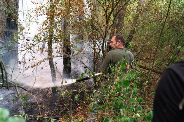 August 20, 2026, Grebenac, Vojvodina, Serbia: 2026820, Grebenac, Serbia - A massive wildfire that has been burning for weeks in the Deliblatska pescara, Special Nature Reserve has reached the village of Grebenac, as locals, firefighters, and military helicopters battle to bring the blaze under control. A man uses a fire hose to douse smoldering trees and underbrush, working to extinguish hot spots. Grebenac Serbia  - ZUMAd223 20260820_zip_d223_017 Copyright: xMarkoxDimicx