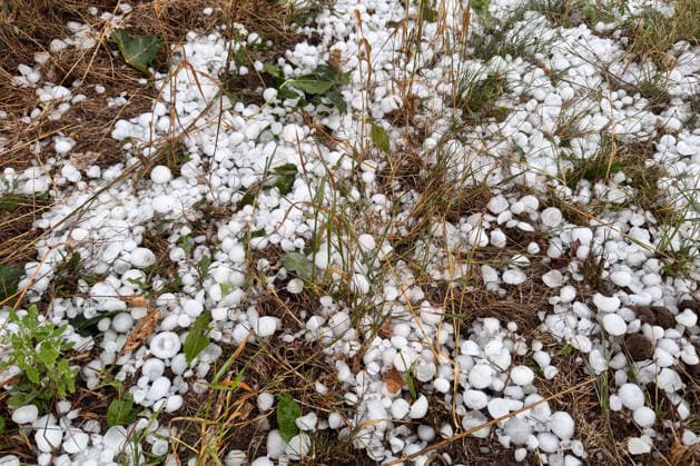 Unwetter in Bayern: Große Hagelkörner bei Steinberg am See, Dunkle Wolken und große Hagelkörner sind bei Steinberg am See in der Oberpfalz zu sehen. Dort zog eine seltene Left-Mover-Superzelle durch, die anschließend weiter in Richtung Tschechien wanderte. In einem schmalen Streifen fiel dabei Hagel mit einem Durchmesser von über 4 Zentimetern. Steinberg am See Bayern Deutschland Steinberg am See *** Severe Weather in Bavaria: Large Hailstones Near Steinberg am See; Dark Clouds and Large Hailstones Can Be Seen Near Steinberg am See in the Upper Palatinate. A rare left-mover supercell passed through the area, which then continued on toward the Czech Republic. In a narrow strip, hail with a diameter of over 4 centimeters fell. Steinberg Copyright: x xonw-imagesx xTobiasxHartlx