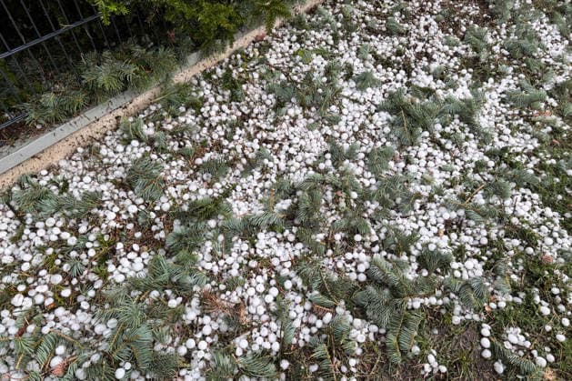 Unwetter in Bayern: Große Hagelkörner bei Steinberg am See, Dunkle Wolken und große Hagelkörner sind bei Steinberg am See in der Oberpfalz zu sehen. Dort zog eine seltene Left-Mover-Superzelle durch, die anschließend weiter in Richtung Tschechien wanderte. In einem schmalen Streifen fiel dabei Hagel mit einem Durchmesser von über 4 Zentimetern. Steinberg am See Bayern Deutschland Steinberg am See *** Severe Weather in Bavaria: Large Hailstones Near Steinberg am See; Dark Clouds and Large Hailstones Can Be Seen Near Steinberg am See in the Upper Palatinate. A rare left-mover supercell passed through the area, which then continued on toward the Czech Republic. In a narrow strip, hail with a diameter of over 4 centimeters fell. Steinberg Copyright: x xonw-imagesx xTobiasxHartlx