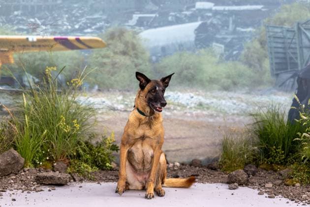 August 20, 2026, London, United Kingdom: Rak Jasper attends the World Premiere ofÃ‚ the movie THE DOG STARS at Odeon Luxe Leicester Square..Celebrities arrive on the red carpet for the movie World Premiere ofÃ‚ THE DOG STARSÃ‚ atÃ‚ Odeon Luxe in Leicester Square. London United Kingdom - ZUMAs197 20260820_aaa_s197_243 Copyright: xPhilxLewisx