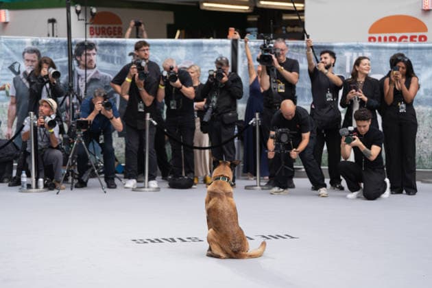 August 20, 2026, London, United Kingdom: Rak Jasper attends The Dog Stars World Premiere at Odeon Luxe Leicester Square. London United Kingdom  - ZUMAs197 20260820_aaa_s197_584 Copyright: xLounisxTiarx