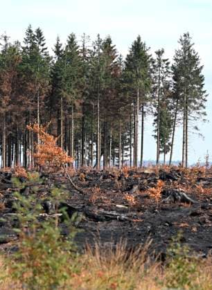 Fire in the Belgian High Fens 21 08 2026 HAUTES FAGNES, BELGIUM - AUGUST 21 : Fire in the Belgian High Fens «The worst fire in Belgium s history» (Signal de Botrange) on August 21, 2026 in Hautes Fagnes, Belgium, 21 08 2026 Hautes Fagnes Belgium  Copyright: xDidierxLebrunx