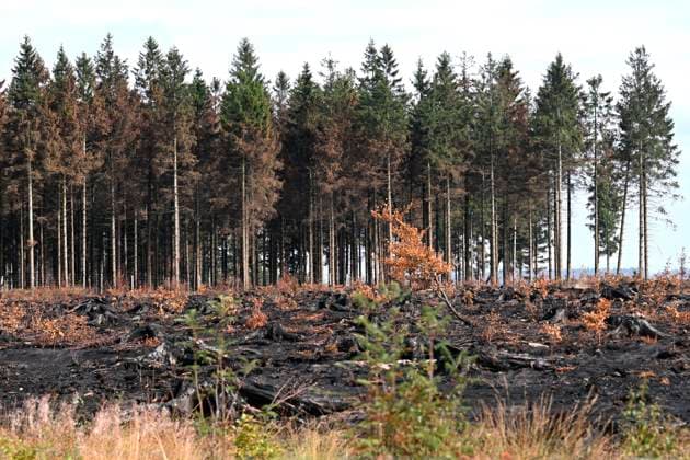 Fire in the Belgian High Fens 21 08 2026 HAUTES FAGNES, BELGIUM - AUGUST 21 : Fire in the Belgian High Fens «The worst fire in Belgium s history» (Signal de Botrange) on August 21, 2026 in Hautes Fagnes, Belgium, 21 08 2026 Hautes Fagnes Belgium  Copyright: xDidierxLebrunx