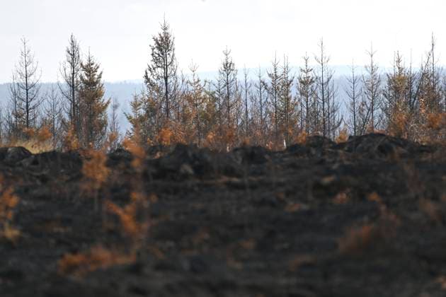 Fire in the Belgian High Fens 21 08 2026 HAUTES FAGNES, BELGIUM - AUGUST 21 : Fire in the Belgian High Fens «The worst fire in Belgium s history» (Signal de Botrange) on August 21, 2026 in Hautes Fagnes, Belgium, 21 08 2026 Hautes Fagnes Belgium  Copyright: xDidierxLebrunx