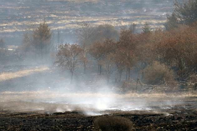 Fire in the Belgian High Fens 21 08 2026 HAUTES FAGNES, BELGIUM - AUGUST 21 : Fire in the Belgian High Fens «The worst fire in Belgium s history» (Signal de Botrange) on August 21, 2026 in Hautes Fagnes, Belgium, 21 08 2026 Hautes Fagnes Belgium  Copyright: xDidierxLebrunx