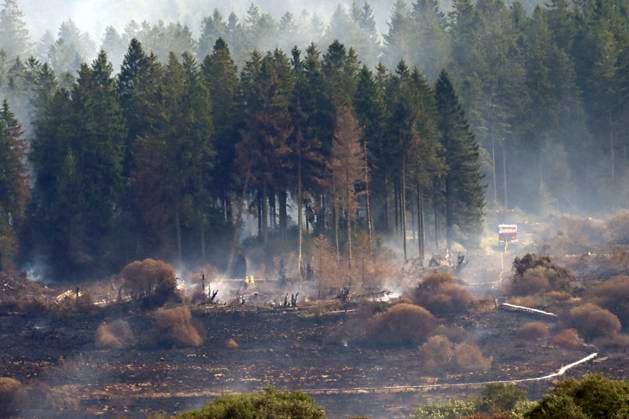 Fire in the Belgian High Fens 21 08 2026 HAUTES FAGNES, BELGIUM - AUGUST 21 : Fire in the Belgian High Fens «The worst fire in Belgium s history» (Signal de Botrange) on August 21, 2026 in Hautes Fagnes, Belgium, 21 08 2026 Hautes Fagnes Belgium  Copyright: xDidierxLebrunx