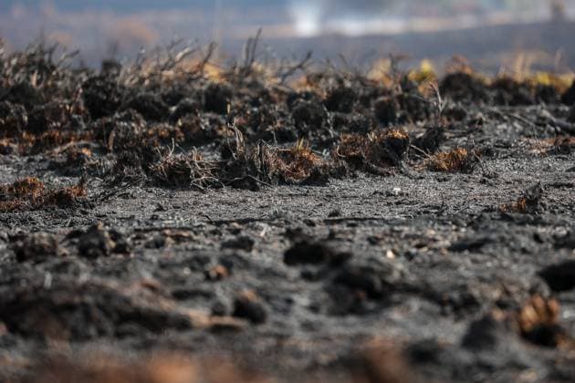 Picture taken on the site of the fires in the Hautes Fagnes (High Fens) nature reserve, on Friday 21 August 2026. The fire started on August 14th and 3000 hectares (on a total of 4500) are impacted.  JULIENxWARNAND 183892315