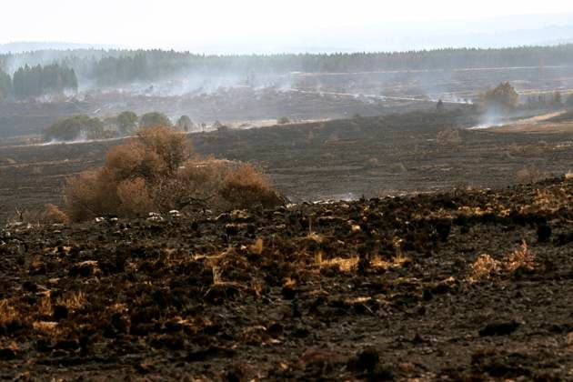 Fire in the Belgian High Fens 21 08 2026 HAUTES FAGNES, BELGIUM - AUGUST 21 : Fire in the Belgian High Fens «The worst fire in Belgium s history» (Signal de Botrange) on August 21, 2026 in Hautes Fagnes, Belgium, 21 08 2026 Hautes Fagnes Belgium  Copyright: xDidierxLebrunx