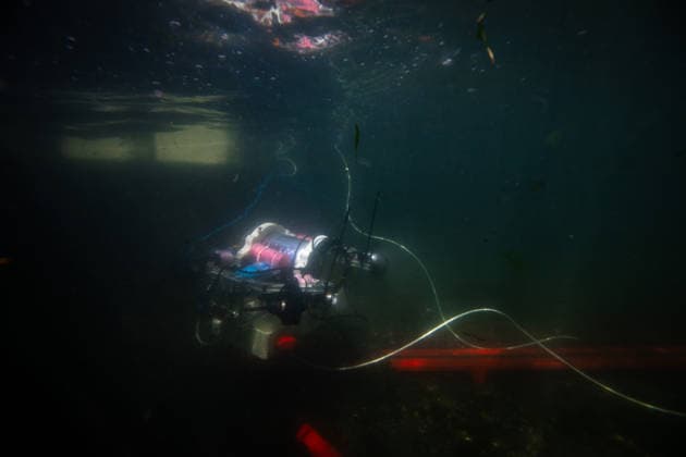 TEKNOFEST Blue Homeland KOCAELI, TURKIYE - AUGUST 21: An unmanned underwater vehicle operates in a test pool during the Unmanned Underwater Systems Competition held as part of TEKNOFEST Blue Homeland at the Golcuk Naval Shipyard Command in Kocaeli, Turkiye, on August 21, 2026. Organized under the main leadership of the Turkish National Defense Ministry and the Turkish Technology Team Foundation (T3 Foundation), with Anadolu as the Global Communication Partner, the event showcases Turkiye s maritime power, defense capabilities and indigenous technologies. Sebnem Coskun Anadolu Kocaeli Turkey. Editorial use only. Please get in touch for any other usage.  Copyright: x2026xAnadoluxSebnemxCoskunx