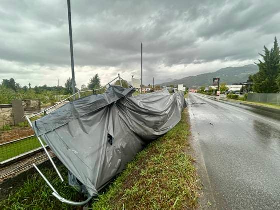 RECORD DATE NOT STATED IPA87664845 - Pietrasanta: Damage Caused by Severe Weather in Versilia—Rain, Thunderstorms, and Wind Cause Disruption and Damage to Beach Resorts and Tourists; Fallen Trees  Copyright: xx xx 87664845.jpeg