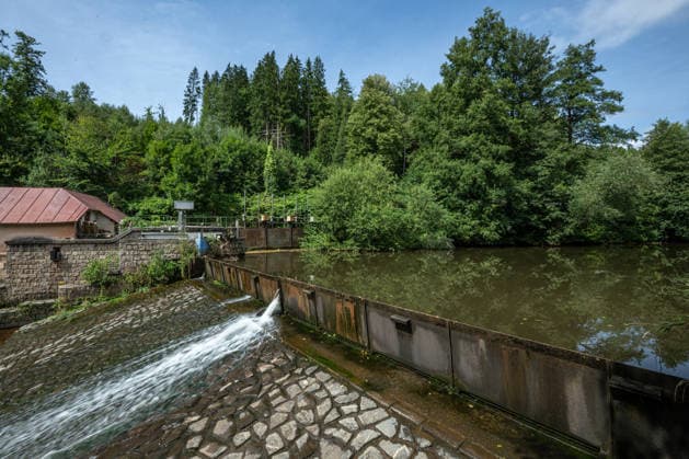 Low water level in the upper Elbe river in Vestrev, Trutnov region, Czech Republic, during the current drought, on August 21, 2026. (CTKxPhoto DavidxTanecek) CTKPhotoP2026082104744  CTKPhotoP2026082104744