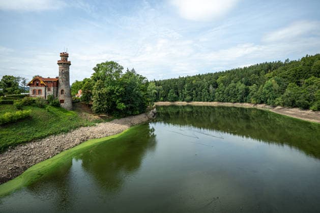 Low water level at the Les Kralovstvi reservoir on the Elbe river in Bila Tremesna near Dvur Kralove nad Labem, Trutnov region, Czech Republic, during the current drought, on August 21, 2026. (CTKxPhoto DavidxTanecek) CTKPhotoP2026082104816  CTKPhotoP2026082104816