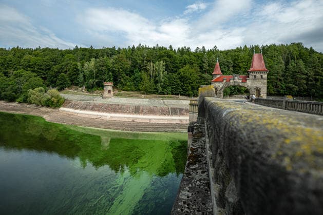 Low water level at the Les Kralovstvi reservoir on the Elbe river in Bila Tremesna near Dvur Kralove nad Labem, Trutnov region, Czech Republic, during the current drought, on August 21, 2026. (CTKxPhoto DavidxTanecek) CTKPhotoP2026082104818  CTKPhotoP2026082104818