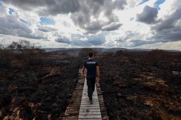 The emergency services organise a guided visit on the site of the fires in the Hautes Fagnes (High Fens) nature reserve, on Friday 21 August 2026. The fire started on August 14th and 3000 hectares (on a total of 4500) are impacted.  JULIENxWARNAND 183918350