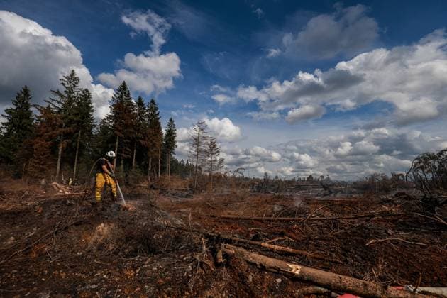 A guided visit is organized to the firefighters still active on the site of the fires in the Hautes Fagnes (High Fens) nature reserve, on Friday 21 August 2026. The fire started on August 14th and 3000 hectares (on a total of 4500) are impacted.  JULIENxWARNAND 183919181