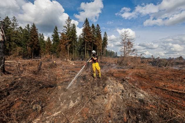 A guided visit is organized to the firefighters still active on the site of the fires in the Hautes Fagnes (High Fens) nature reserve, on Friday 21 August 2026. The fire started on August 14th and 3000 hectares (on a total of 4500) are impacted.  JULIENxWARNAND 183919080