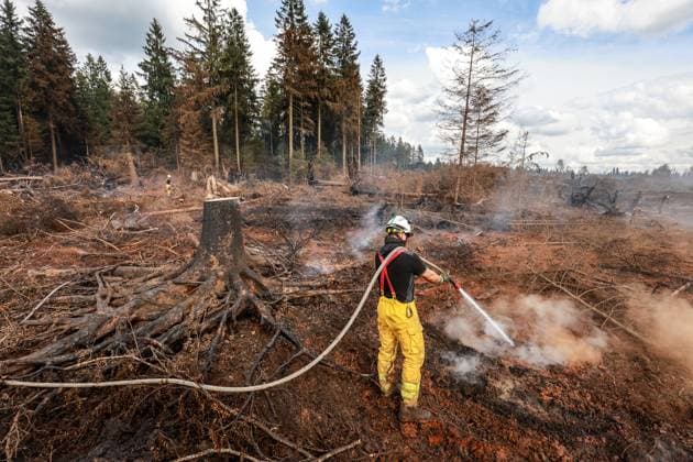 A guided visit is organized to the firefighters still active on the site of the fires in the Hautes Fagnes (High Fens) nature reserve, on Friday 21 August 2026. The fire started on August 14th and 3000 hectares (on a total of 4500) are impacted.  JULIENxWARNAND 183919083