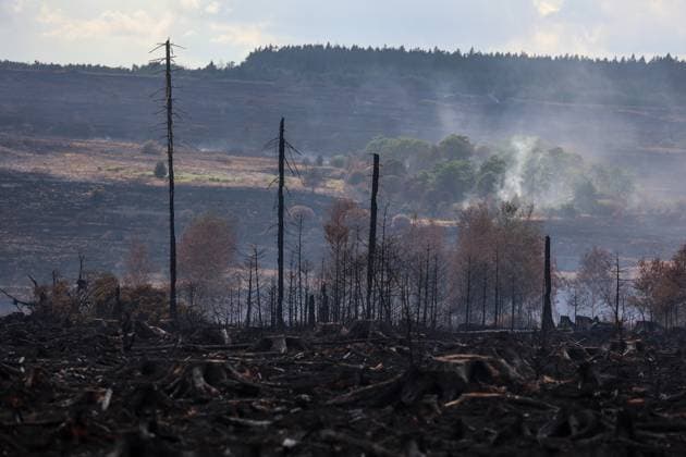 A guided visit is organized to the firefighters still active on the site of the fires in the Hautes Fagnes (High Fens) nature reserve, on Friday 21 August 2026. The fire started on August 14th and 3000 hectares (on a total of 4500) are impacted.  JULIENxWARNAND 183919094