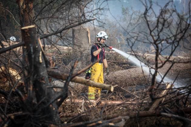 A guided visit is organized to the firefighters still active on the site of the fires in the Hautes Fagnes (High Fens) nature reserve, on Friday 21 August 2026. The fire started on August 14th and 3000 hectares (on a total of 4500) are impacted.  JULIENxWARNAND 183919100