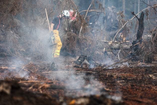 A guided visit is organized to the firefighters still active on the site of the fires in the Hautes Fagnes (High Fens) nature reserve, on Friday 21 August 2026. The fire started on August 14th and 3000 hectares (on a total of 4500) are impacted.  JULIENxWARNAND 183919012