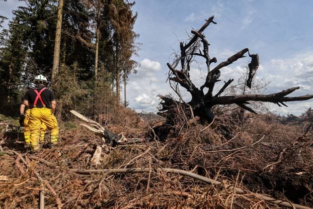 A guided visit is organized to the firefighters still active on the site of the fires in the Hautes Fagnes (High Fens) nature reserve, on Friday 21 August 2026. The fire started on August 14th and 3000 hectares (on a total of 4500) are impacted.  JULIENxWARNAND 183919017