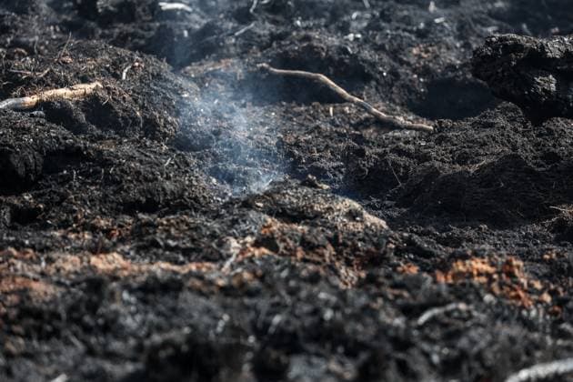 A guided visit is organized to the firefighters still active on the site of the fires in the Hautes Fagnes (High Fens) nature reserve, on Friday 21 August 2026. The fire started on August 14th and 3000 hectares (on a total of 4500) are impacted.  JULIENxWARNAND 183919065