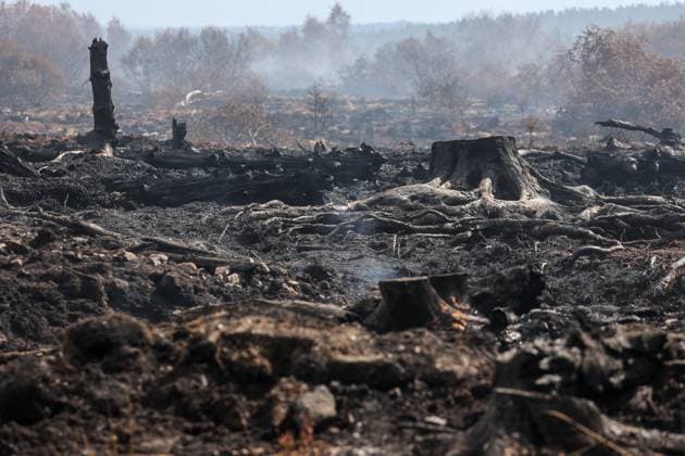 A guided visit is organized to the firefighters still active on the site of the fires in the Hautes Fagnes (High Fens) nature reserve, on Friday 21 August 2026. The fire started on August 14th and 3000 hectares (on a total of 4500) are impacted.  JULIENxWARNAND 183919068