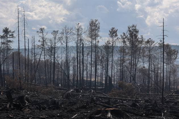 A guided visit is organized to the firefighters still active on the site of the fires in the Hautes Fagnes (High Fens) nature reserve, on Friday 21 August 2026. The fire started on August 14th and 3000 hectares (on a total of 4500) are impacted.  JULIENxWARNAND 183919073
