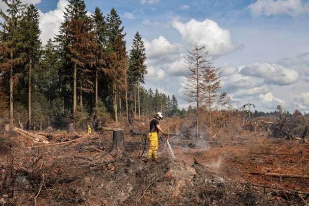 A guided visit is organized to the firefighters still active on the site of the fires in the Hautes Fagnes (High Fens) nature reserve, on Friday 21 August 2026. The fire started on August 14th and 3000 hectares (on a total of 4500) are impacted.  JULIENxWARNAND 183919078