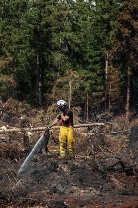 A guided visit is organized to the firefighters still active on the site of the fires in the Hautes Fagnes (High Fens) nature reserve, on Friday 21 August 2026. The fire started on August 14th and 3000 hectares (on a total of 4500) are impacted.  JULIENxWARNAND 183919079