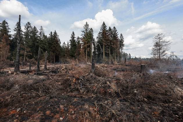 A guided visit is organized to the firefighters still active on the site of the fires in the Hautes Fagnes (High Fens) nature reserve, on Friday 21 August 2026. The fire started on August 14th and 3000 hectares (on a total of 4500) are impacted.  JULIENxWARNAND 183919889