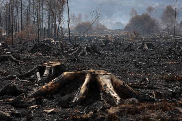 A guided visit is organized to the firefighters still active on the site of the fires in the Hautes Fagnes (High Fens) nature reserve, on Friday 21 August 2026. The fire started on August 14th and 3000 hectares (on a total of 4500) are impacted.  JULIENxWARNAND 183919912